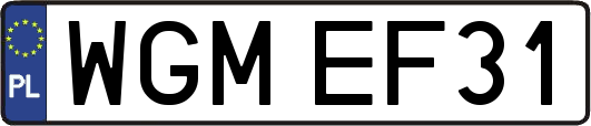 WGMEF31