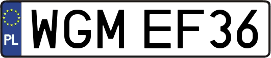 WGMEF36