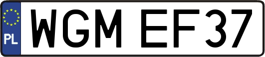 WGMEF37