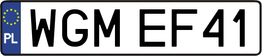 WGMEF41