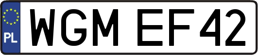WGMEF42