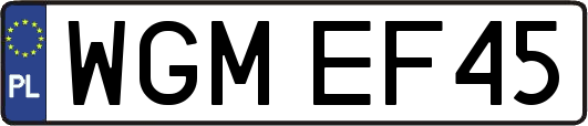 WGMEF45