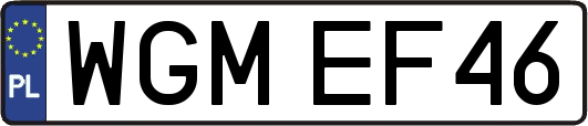WGMEF46
