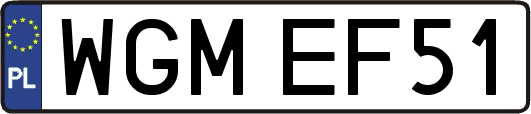 WGMEF51