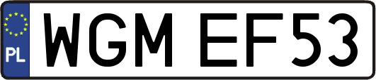 WGMEF53