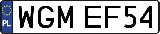 WGMEF54
