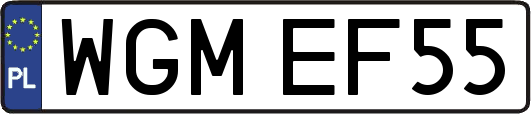 WGMEF55
