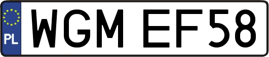 WGMEF58