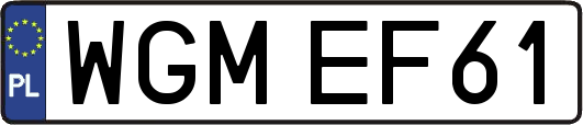 WGMEF61