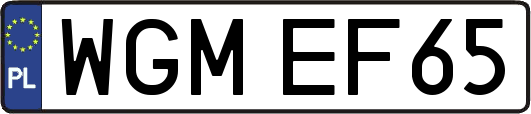WGMEF65