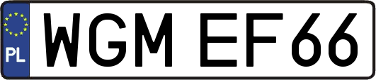 WGMEF66