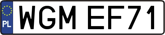 WGMEF71