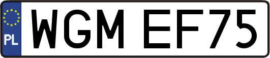 WGMEF75