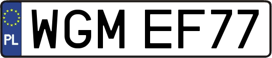 WGMEF77
