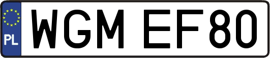 WGMEF80