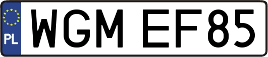 WGMEF85