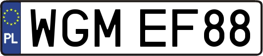 WGMEF88