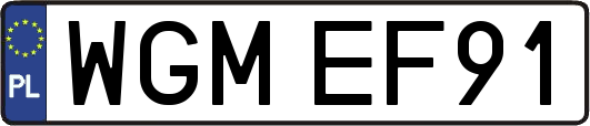 WGMEF91
