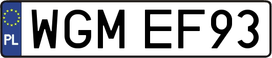 WGMEF93
