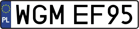WGMEF95