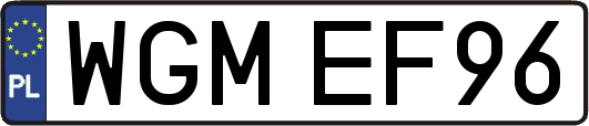 WGMEF96