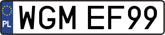 WGMEF99