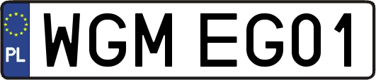 WGMEG01