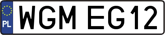 WGMEG12