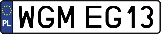 WGMEG13