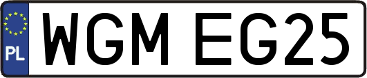 WGMEG25