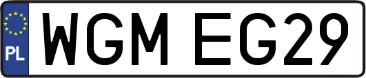 WGMEG29