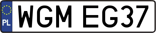 WGMEG37