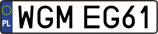 WGMEG61