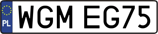 WGMEG75