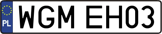 WGMEH03