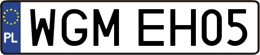 WGMEH05