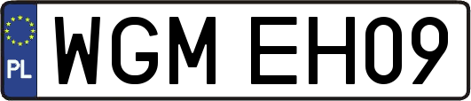 WGMEH09