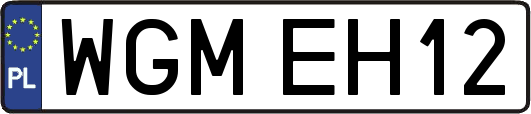 WGMEH12