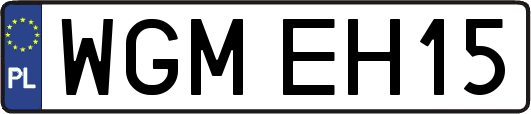 WGMEH15