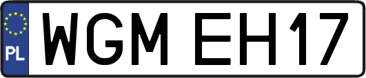WGMEH17