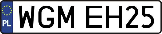 WGMEH25