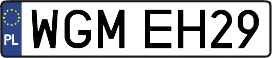 WGMEH29