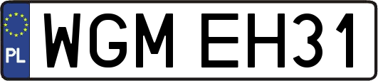 WGMEH31