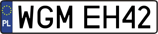 WGMEH42