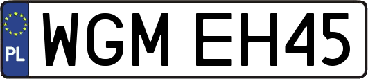 WGMEH45