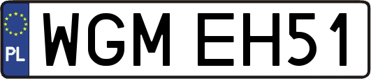 WGMEH51