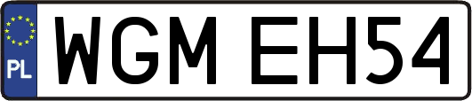 WGMEH54