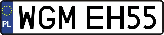 WGMEH55