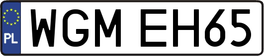 WGMEH65