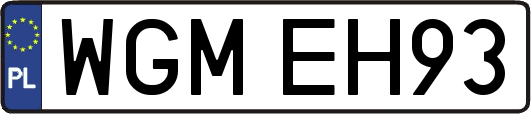 WGMEH93